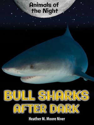 cover image of Bull Sharks After Dark